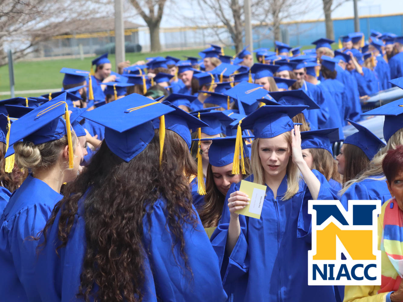niacc_grad-14
