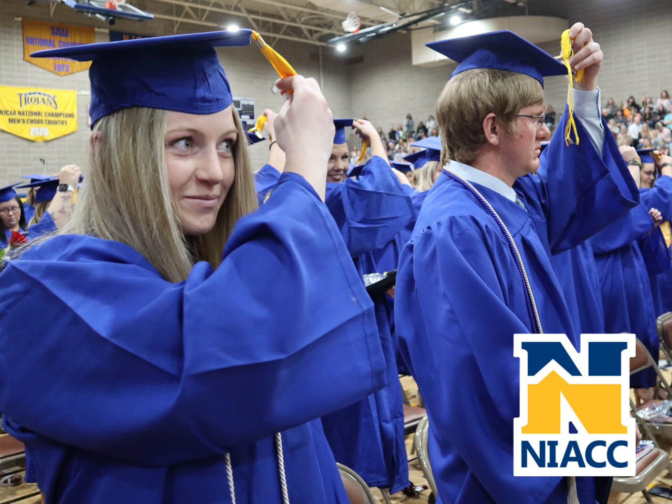 niacc_grad-75