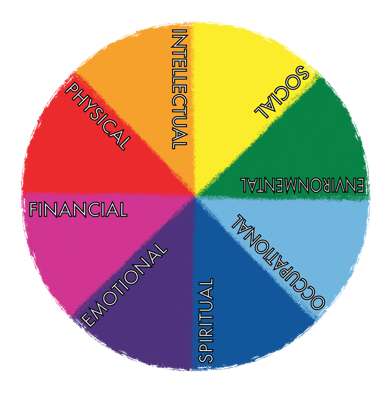 Picture of a Pie Chart with the 8 dimensions of wellness